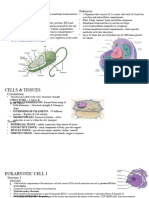 Prokaryotes & Eukaryotes