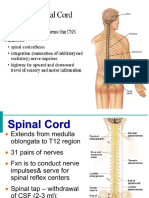 Lesson 3 The Nervous System 2