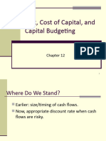 Ch. 12 - Risk Cost of Capital Valuation M2