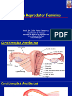 Sistema Reprodutor Feminino 1