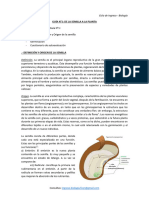 Guia n1 de La Semilla A La Planta1