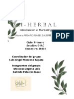 Proyecto Final de Marketing H-Herbal