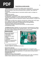 1 Exame Físico Ao Recém-Nascido. Importante: Ao Recém-Nascido Lhe Realizam Vários Exames Físicos