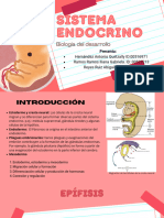 Sistema Endocrino