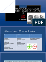 Trastornos Conductuales y Afectivos Tras Una LCA Unab 28 7