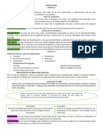 Resumen Parcial