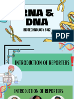 Structure of DNA Science Presentation in Light Blue Green Lined Style