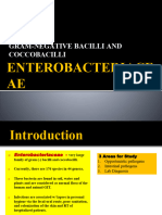 PDF Document 2