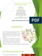 Trabajo Sobre Quimiosíntesis.