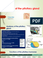 Diseases of The Pituitary Gland