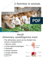 BIOLOGY - Chapter 2 ppt3