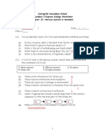 Chapter 13 Nervous System in Mammals - Worksheet (Answers)