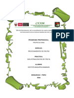 Informe Industrializacion