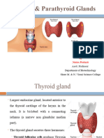 Thyroid and Parathyroid