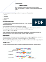 Physio Protein Synthesis