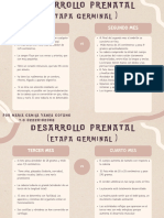 Cuadro Comparativo Desarrollo Prenatal