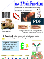 Protein Synthesis