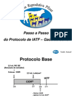 Passo A Passo IATF - Compactada