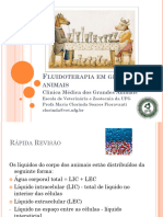 Fluidoterapia II