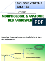 Anatomie Et Morphologie CRS DR