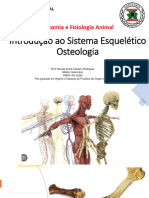 Aula 2 - OSteologia