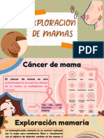 Exploracion de Mamas