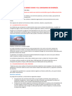 Funciones de Los Seres Vivos y El Consumo de Energía