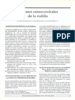 Lesiones Osteocondrales de La Rodilla