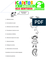 Los Cinco Sentidos para Segundo Grado de Primaria