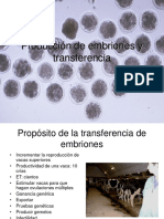 Producción de Embriones y Transferencia