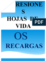 RECARGAS