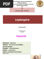 TD8. Leptospira