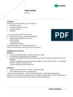 Reforçomedicina-Patologia-Adaptação, Lesão e Morte Celular-2019