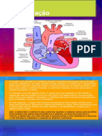 A Circulação e Sistema Respiratório Apresenta - Slides