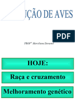 Racas e Cruzamentos Aves