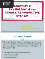 Female Reproductive System