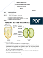 Seed and Seed Dispersal