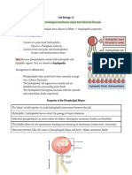 Structure of Phospholipids