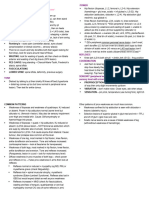 Lower Limb Neuro