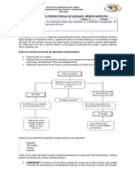 Guía de Estudio 7mo