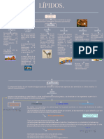 Lípidos Mapa Conceptual. Yohana Delfina Martinez Gómez.