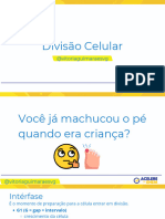 Divisão Celular e Câncer