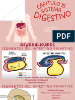 Sistema Digestivo Embriologia