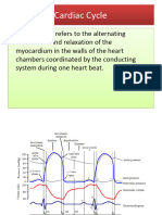 Cardiac Cycle