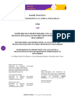 Fmoni, 05 Artigo Hagira Carlota Rosa Final