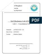 Lab 11 - Consolidation Test