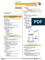 Pancreas Insulin Function Atf