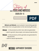 Stages of Mitosis and Meiosis Given 2N 6