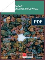 Capítulo 11 - Nuevas Miradas en Psicología Del Ciclo Vital