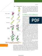 Endel S AWS OF Nheritance: Figure 4.1 Seven Pairs of Contrasting Traits in Pea Plant Studied by Mendel